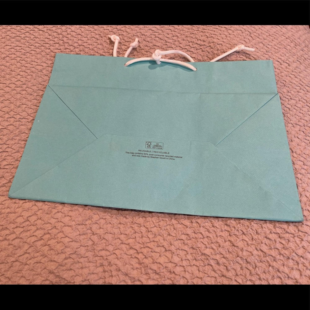 TIFFANY & CO LARGE SHOPPING BAG - Picture 2 of 4